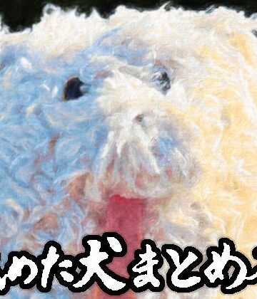 舐めた犬|舐めた犬まとめ本❤ギャグ・コメディ 評価レベル4.86