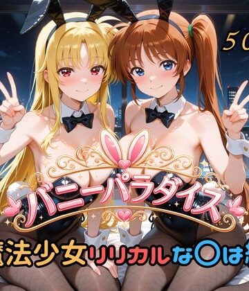はやぶさ工房|バニーパラダイス 魔法少女リリカルな〇は編❤変身ヒロイン 評価レベル
