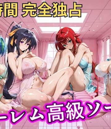 ヒロインズ|朝から晩までハーレム高級ソープ 【ハイスクールD×D】❤辱め 評価レベル