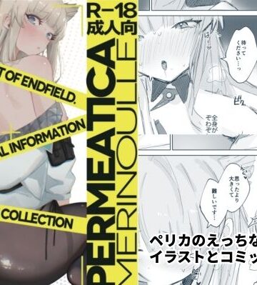 めりのうーる|PERMEATICA❤中出し 評価レベル