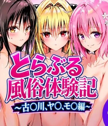 めろんぷりん|とらぶる風俗体験記〜古〇川、モ〇、ヤ〇編〜❤処女 評価レベル