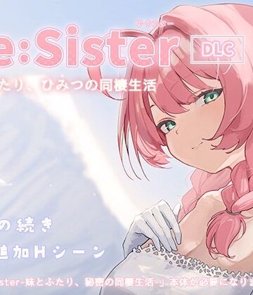 アラン・マイヤー|Re:Sister―妹とふたり、ひみつの同棲生活―【DLC】❤動画・アニメーション 評価レベル