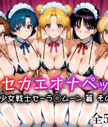 愛玩ファクトリー|キセカエオナペット -美少女戦士セーラ◯ムーン篇 その3-❤メイド 評価レベル5.00